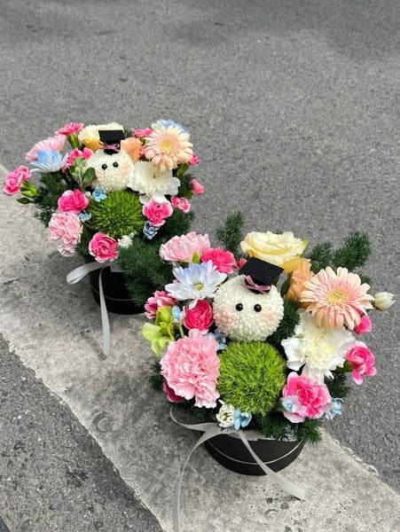  Box Bé Gấu Mũ Cử Nhân 🎓🌼 
