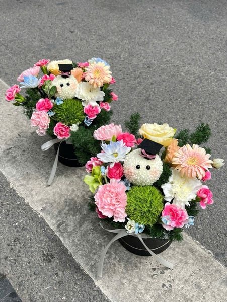  Box Bé Gấu Mũ Cử Nhân 🎓🌼 