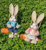  Thỏ Xích Đu Mùa Thu 