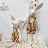  Thỏ Bông Nông Dân 