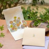  Thiệp Hoa Pop-Up - Vuông 