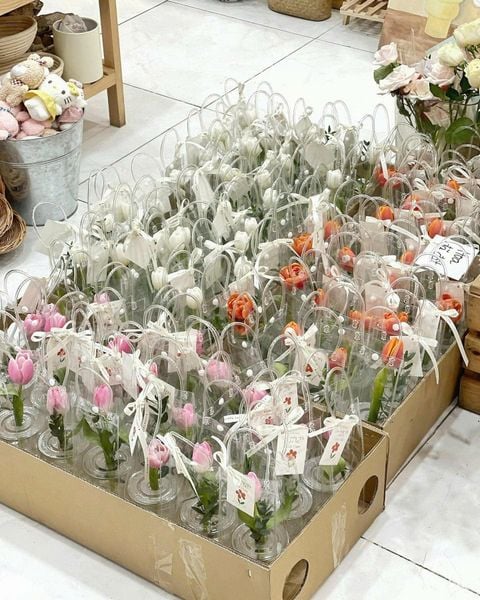  Cốc Hoa Tulip (Kèm Thiệp) 
