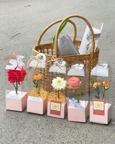  Hộp Hoa Múp Míp ( Kèm Thiệp) 