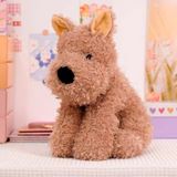  Cún Bông West Highland 