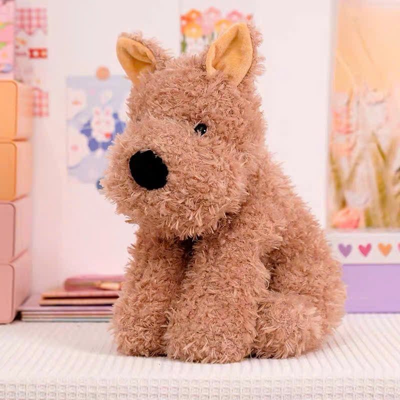  Cún Bông West Highland 