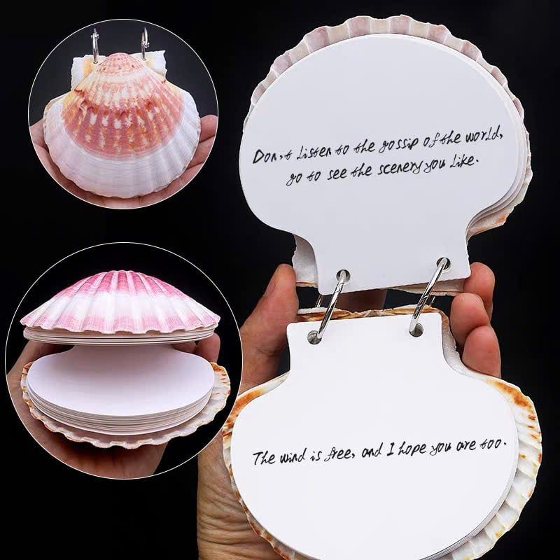  Tập Giấy Note Ốc Sò 