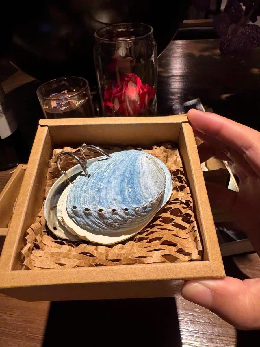  Tập Giấy Note Ốc Sò 