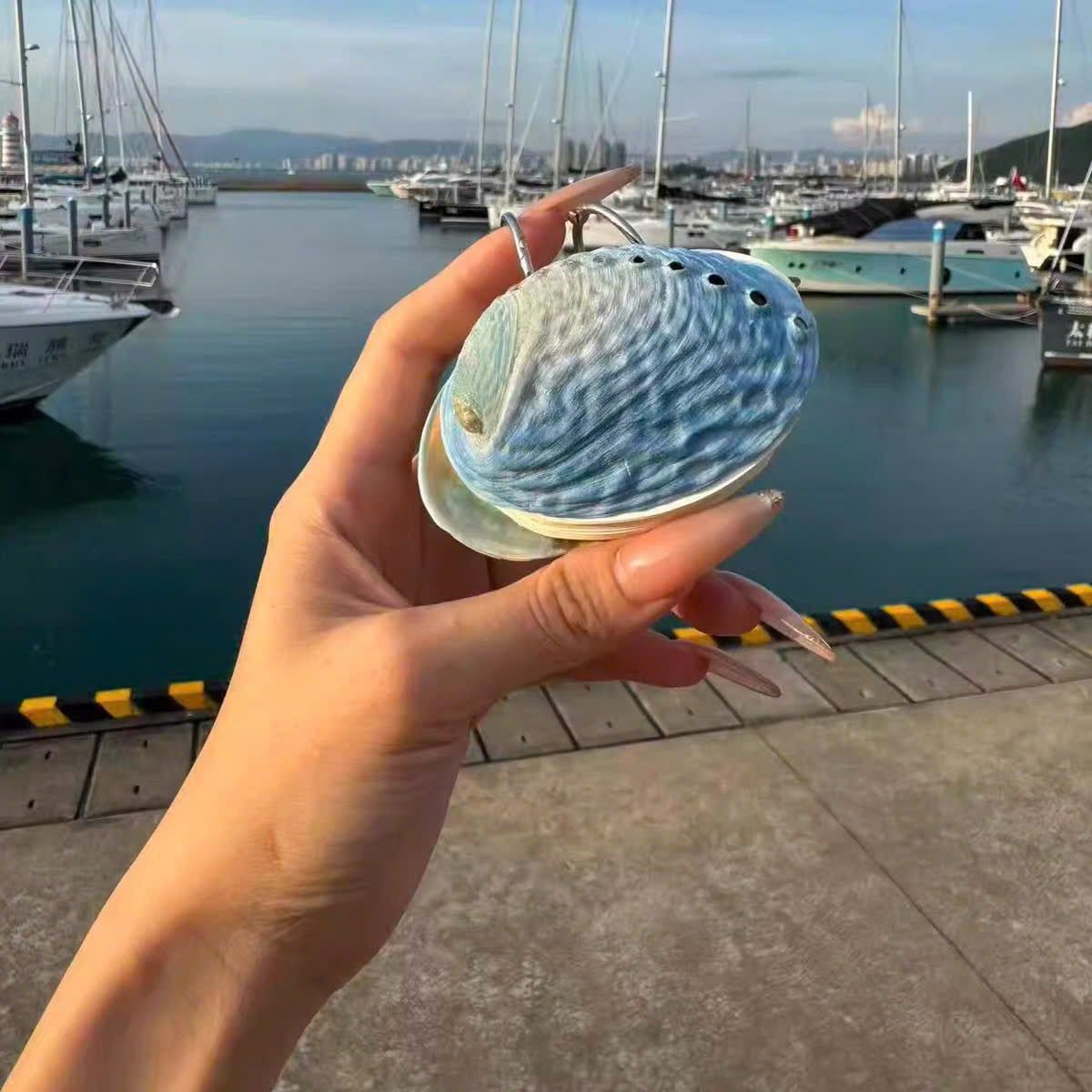  Tập Giấy Note Ốc Sò 