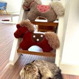  Ngựa Pony Hug Pillow (Order) 