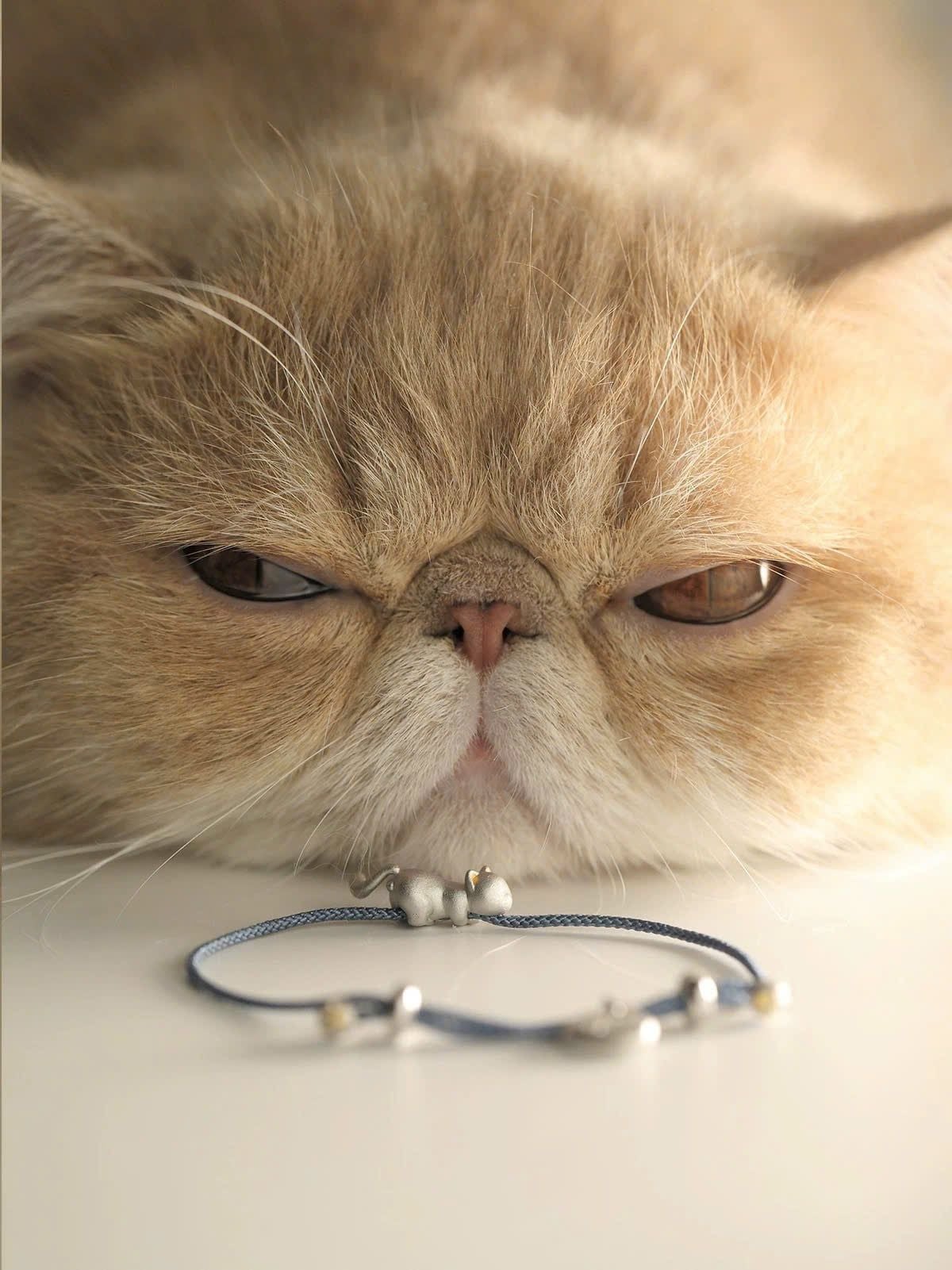  Vòng Tay Lucky Cat Silver 