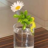  Giá Đỡ Cây Người Tí Hon 