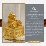 Ấn Rồng mạ vàng