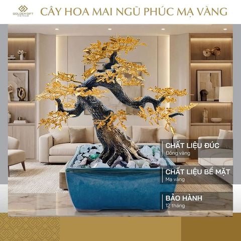 Cây hoa mai Ngũ Phúc mạ vàng