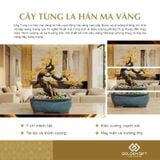 Cây Tùng La hán Mạ Vàng