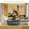 Cây Tùng La hán Mạ Vàng