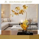 Chậu Lan Hồ Điệp mạ vàng