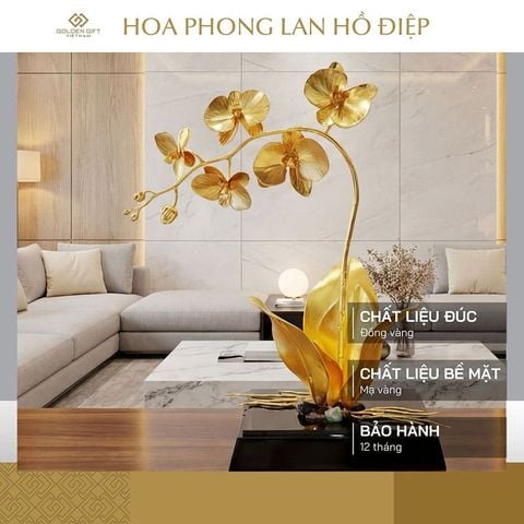 Chậu Lan Hồ Điệp mạ vàng
