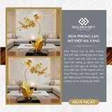 Chậu Lan Hồ Điệp mạ vàng