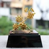 Hoa Hồi Mạ Vàng 24K