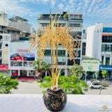 Hũ Lúa Tài Lộc Mạ Vàng