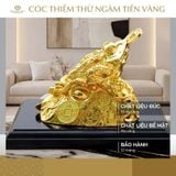 Tượng Cóc ngậm tiền mạ vàng