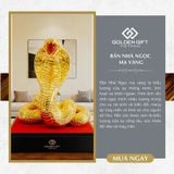 Rắn vàng Nhả ngọc
