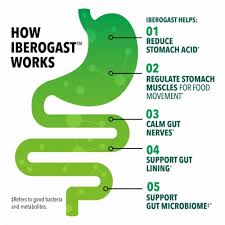 Thuốc Iberogast hỗ trợ viêm loét dạ dầy, đầy hơi, chướng bụng, trào ngược