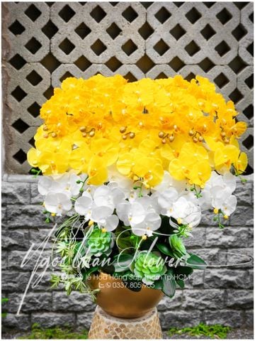 MUA HOA LAN VẢI CAO CẤP Ở TPHCM