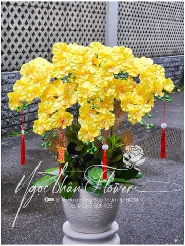 LAN HỒ ĐIỆP VẢI MÀU VÀNG THỊNH VƯỢNG