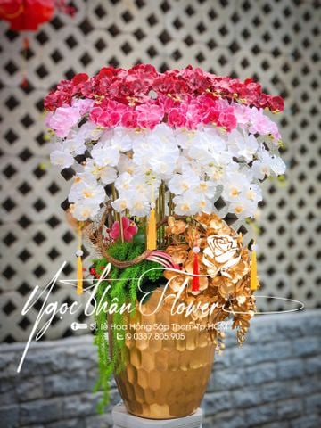 LAN HỒ ĐIỆP VẢI