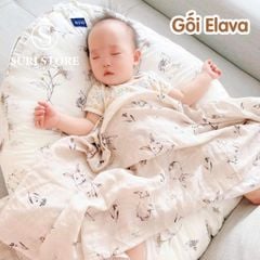 Gối chống trào ngược Elava Hàn Quốc