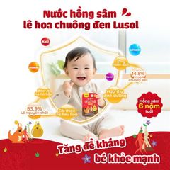 [CĐ] Nước hồng sâm lê hoa chuông đen Lusol HQ