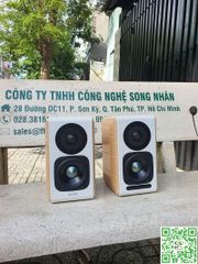 LOA TREO TƯỜNG EDIFIER S880DB