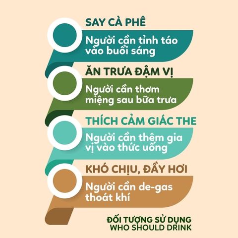  Trà Bạc Hà sấy khô Mộc Thanh Trà lon thiếc 25G, vị the mát sảng khoái, giảm căng thẳng, làm sạch khoang miệng 