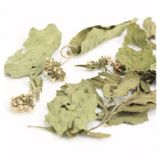  Trà Bạc Hà sấy khô Mộc Thanh Trà lon thiếc 25G, vị the mát sảng khoái, giảm căng thẳng, làm sạch khoang miệng 