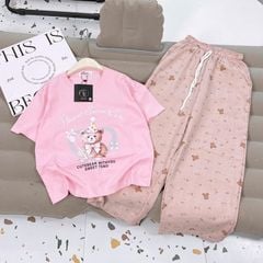 Bộ thun dài bé gái sọc gấu cute