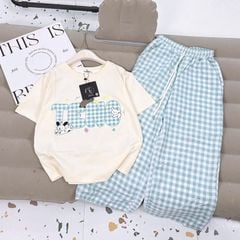 Bộ thun dài bé gái caro cún Teno
