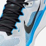  Giày chạy bộ Nike Air Zoom Pegasus 41 Nam FD2722-119 
