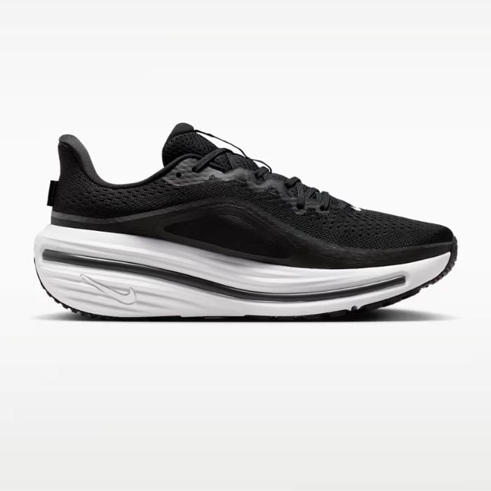 Giày chạy bộ Nam Nike Winflo 12 - HV9272-002 