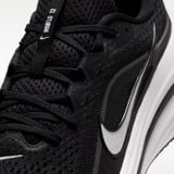  Giày chạy bộ Nam Nike Winflo 12 - HV9272-002 