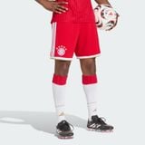  Quần short Nam Adidas Sân Nhà FC Bayern 26/27 - JZ3060 