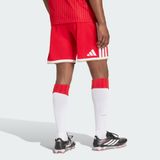  Quần short Nam Adidas Sân Nhà FC Bayern 26/27 - JZ3060 