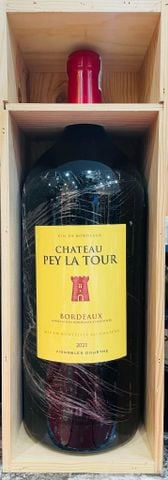 Chateau Pey La Tour 13% 600cl