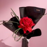  [20/10] OHARA CHARM - GIAO NỘI THÀNH TPHCM 