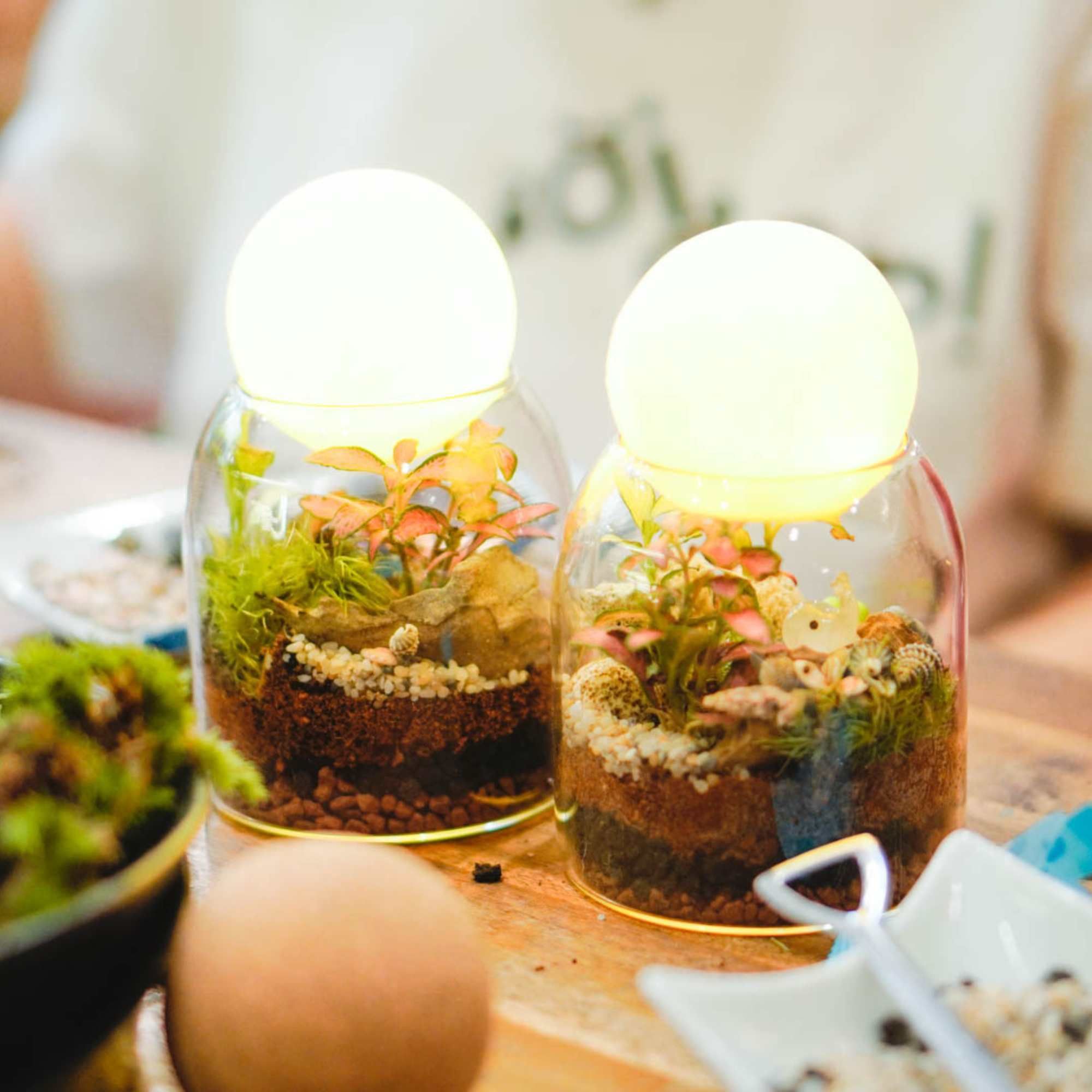  Bình Trụ Kín  - GIAO NỘI THÀNH TPHCM 