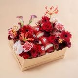  [PRE-ORDER 24H] CẢM ƠN - TÂM GIAO -  GIAO NỘI THÀNH TPHCM 