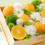  Phần Quà 08/03 Citrus Glow - GIAO NỘI THÀNH TPHCM 