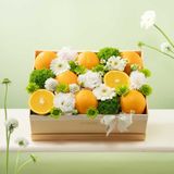  Phần Quà 08/03 Citrus Glow - GIAO NỘI THÀNH TPHCM 