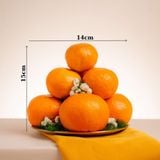  Dĩa Quýt 2 Size - GIAO NỘI THÀNH TPHCM 