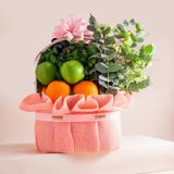 Giỏ Quà Trái Cây Và Hoa Tone Hồng Tinh Tế  - GIAO NỘI THÀNH TPHCM 